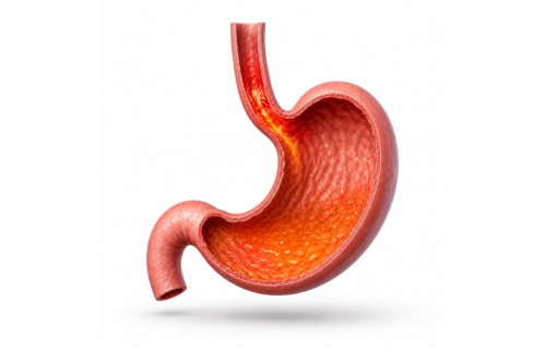 Cita con gastroenterologo en Queretaro